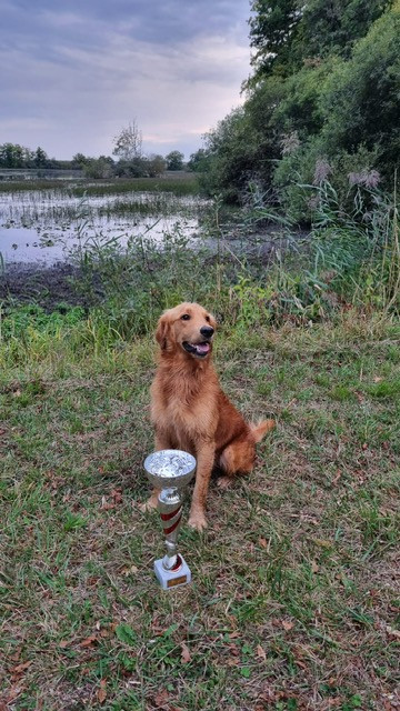 TR. Vick des fields d'est