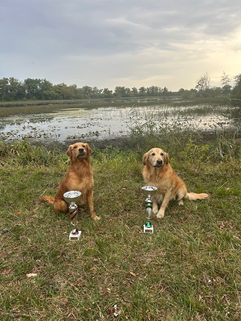 FIELDS TRIAL DE CHARENTON SUR CHER