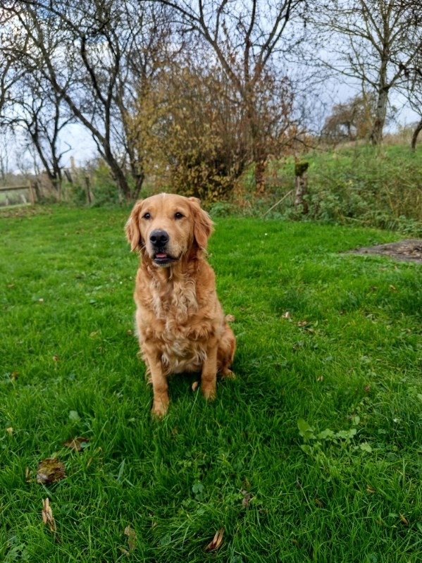 saillie umye + tao faite.